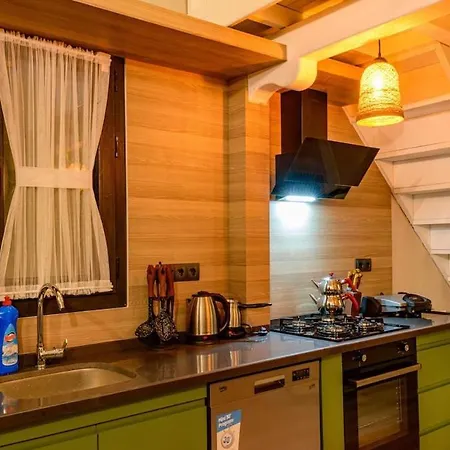 Vila Sarnic - Stone With Private Pool For 6 Guests In Kayakoey, *